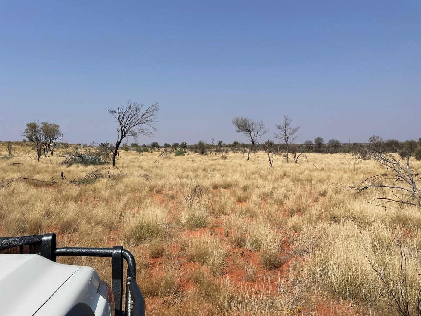 Arid red-soil landscape with a survey vehicle, Amadeus Basin, Northern Territory