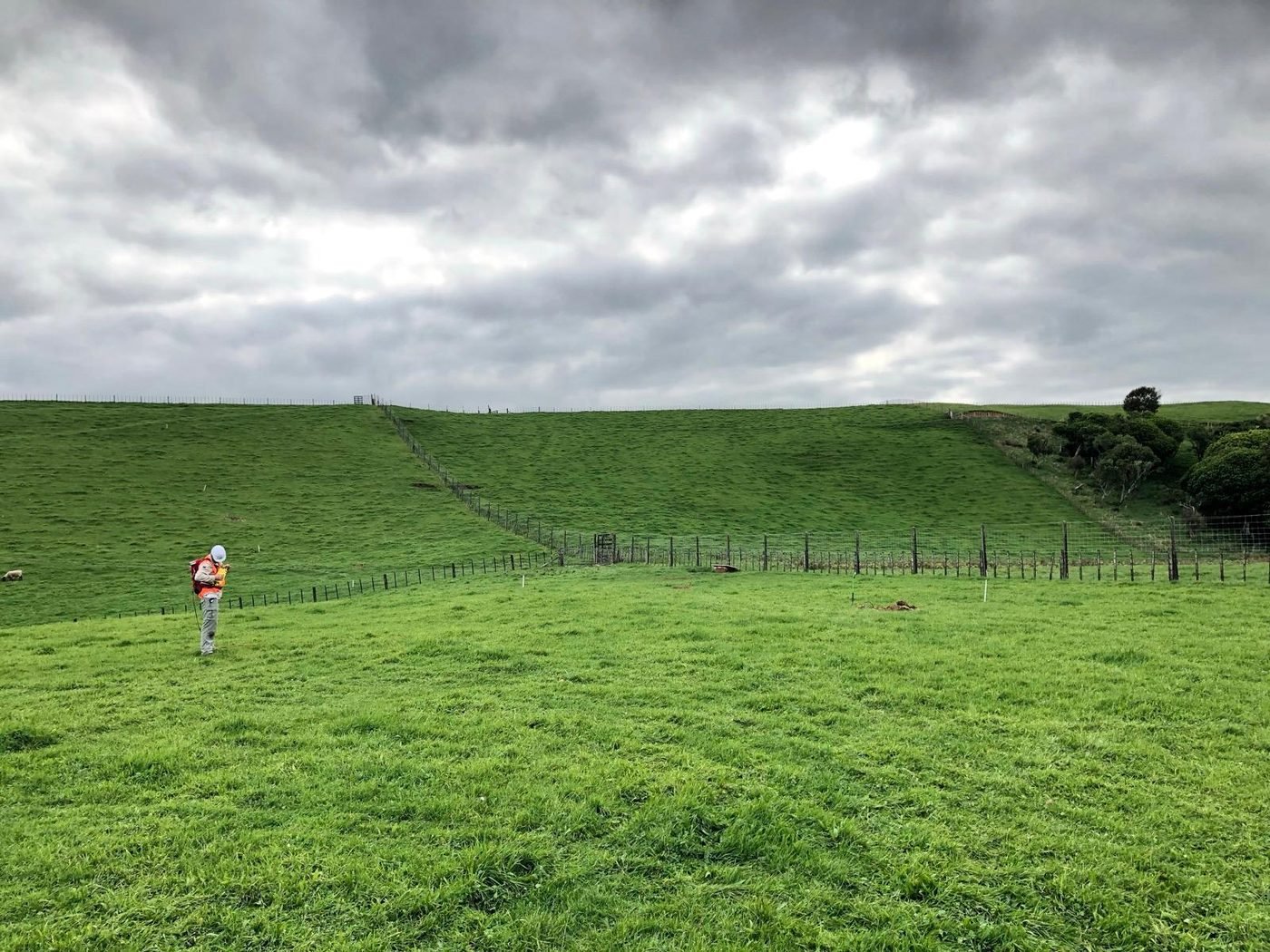 Field surveyor in green farmland, Taranaki Basin, New Zealand