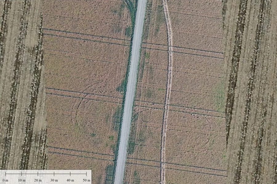 Orthomosaic aerial imagery of survey corridor through agricultural cropland with scale reference