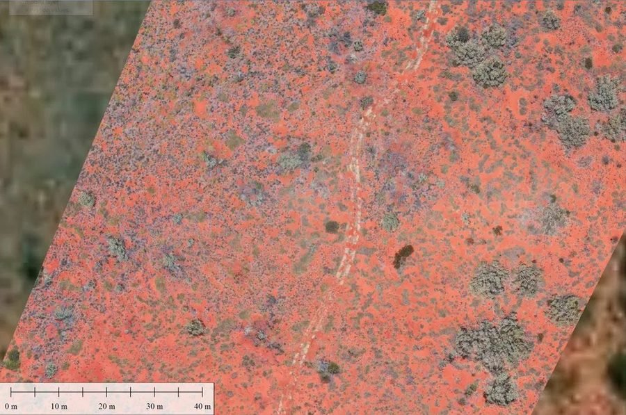 Vegetation index spatial analysis overlay of survey corridor for environmental assessment